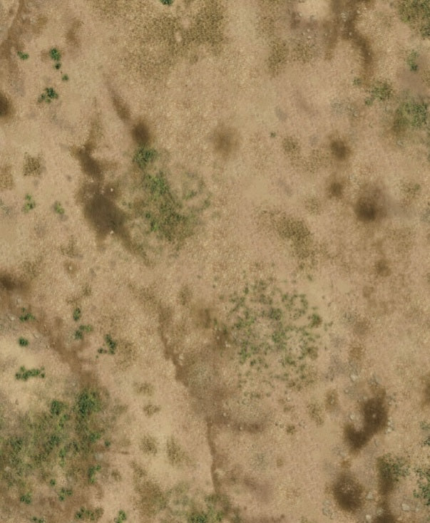 FeltPro™ Contested Sands Wargame Mat