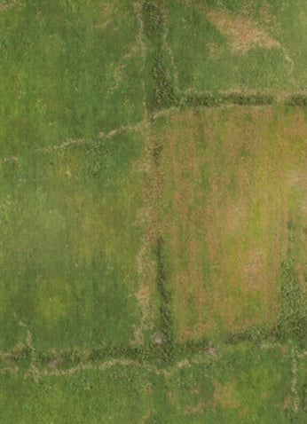 FeltPro™ Hedgerow Country Wargame Mat