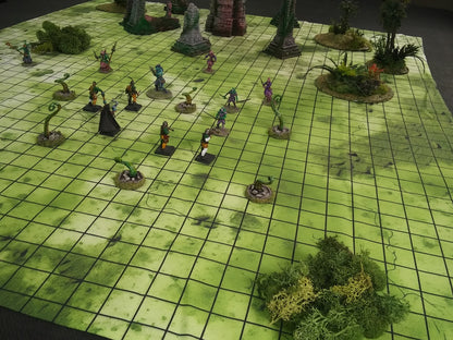 Dungeons Dragons Battle Mat &