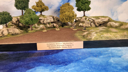 Tournament Army Display Board 24" x 16"