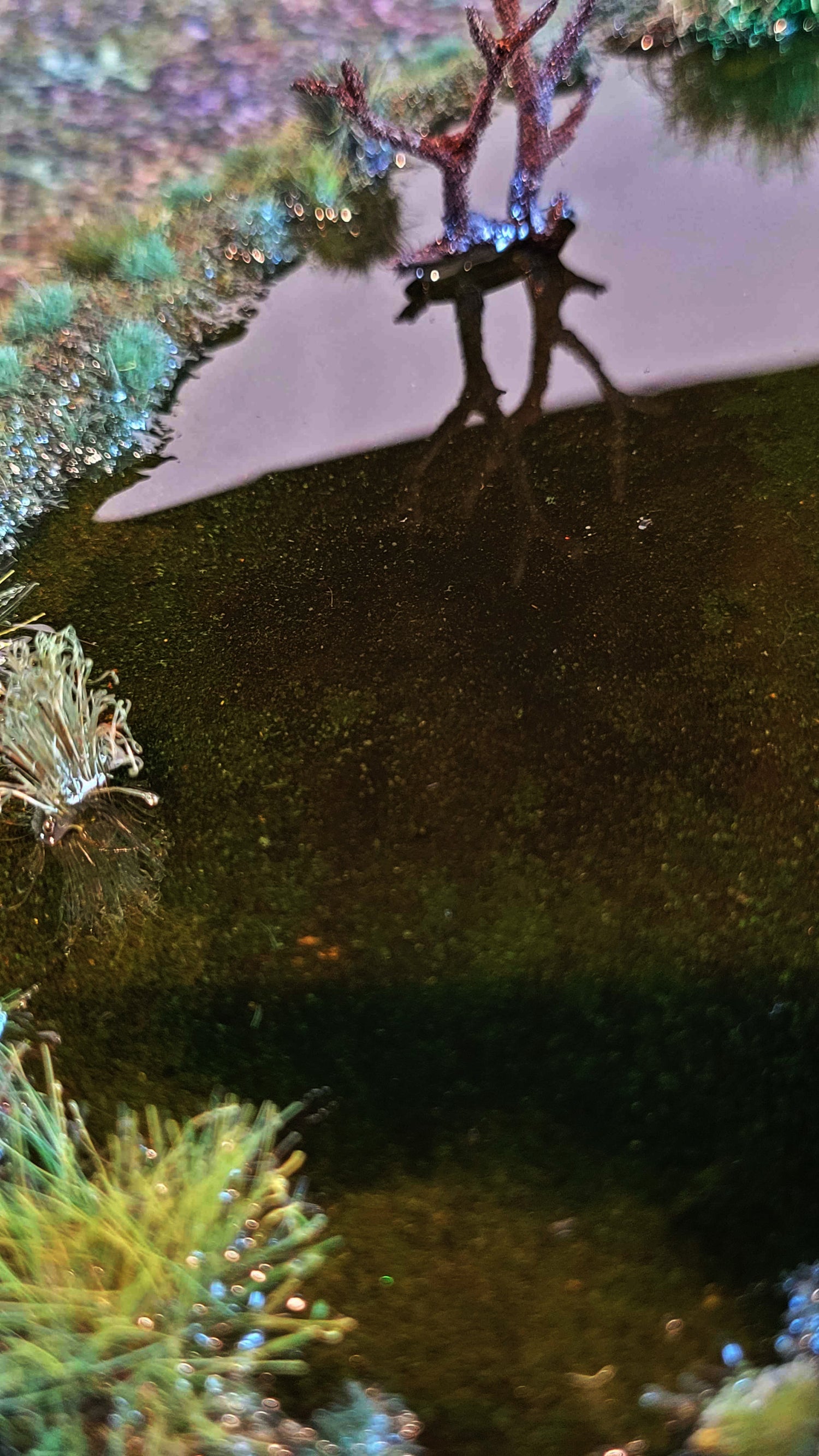 The Black Fen — Handmade Bog &amp; Mire Terrain Set