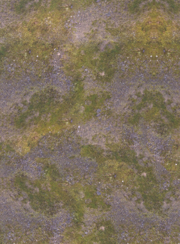 FeltPro™ Cursed Land Wargame Mat