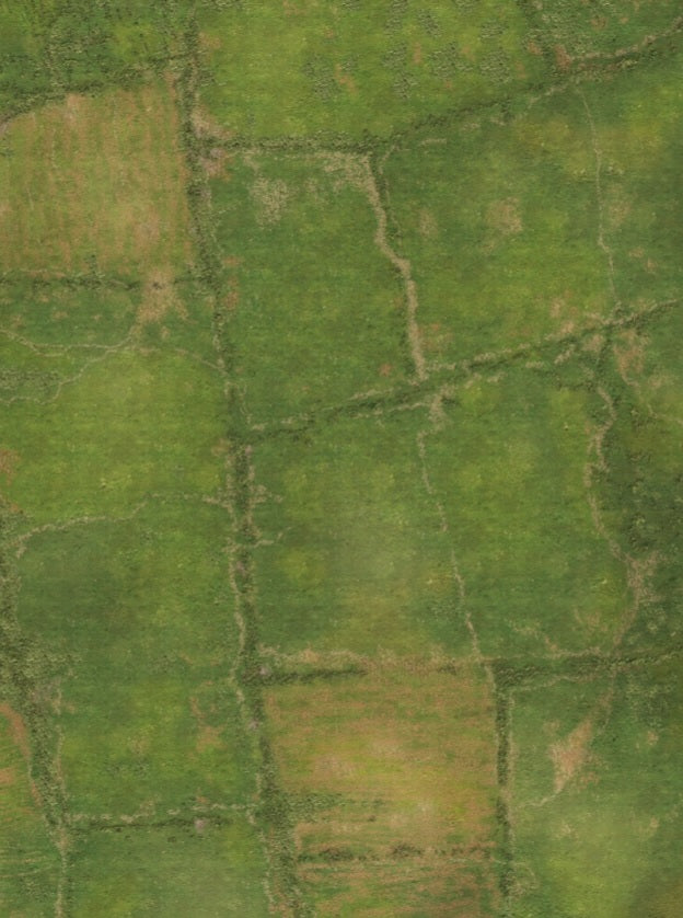 FeltPro™ Hedgerow Country Wargame Mat