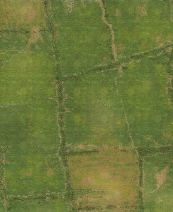 FeltPro™ Hedgerow Country Wargame Mat