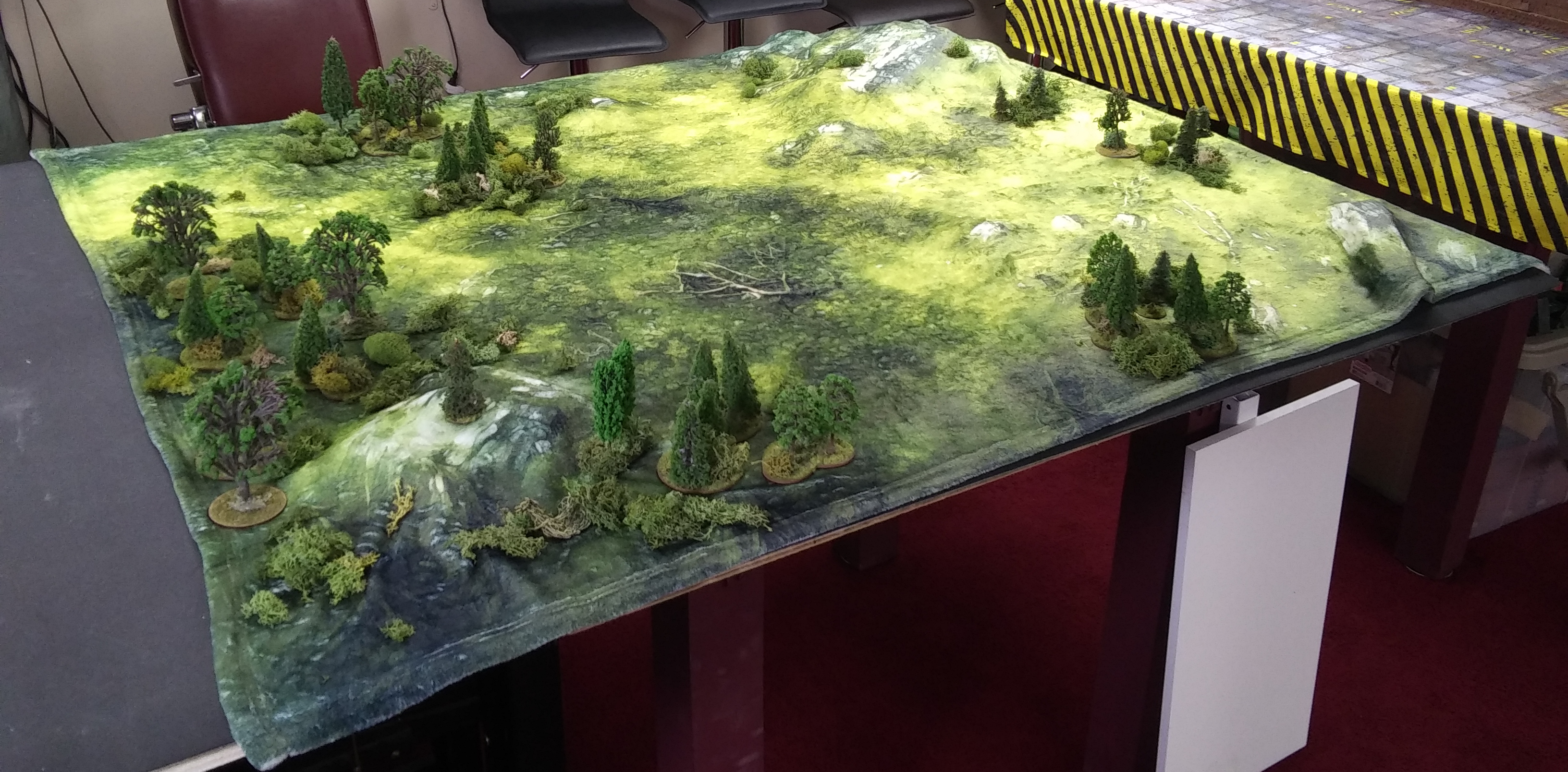 Wargaming Battle Mat &